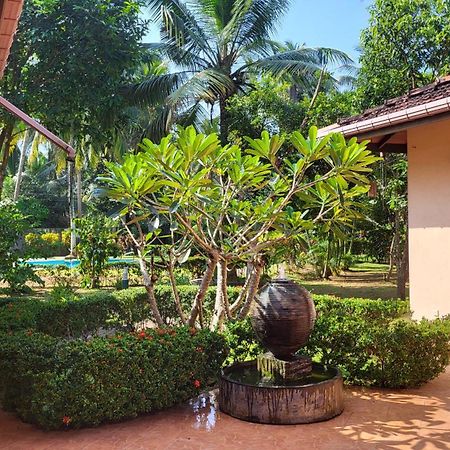 King Coconut Lodge Habaraduwa Central 외부 사진