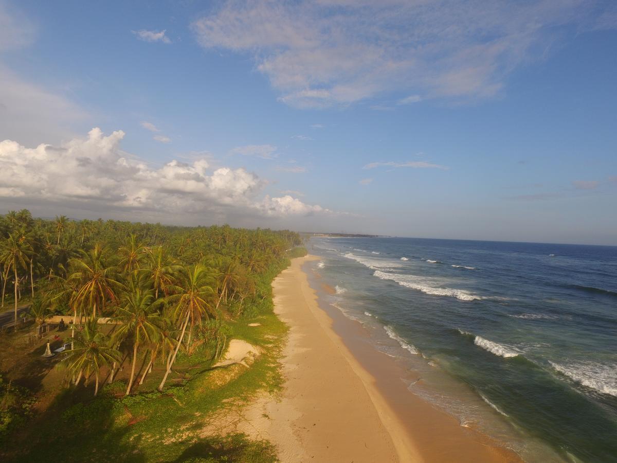 King Coconut Lodge Habaraduwa Central 외부 사진