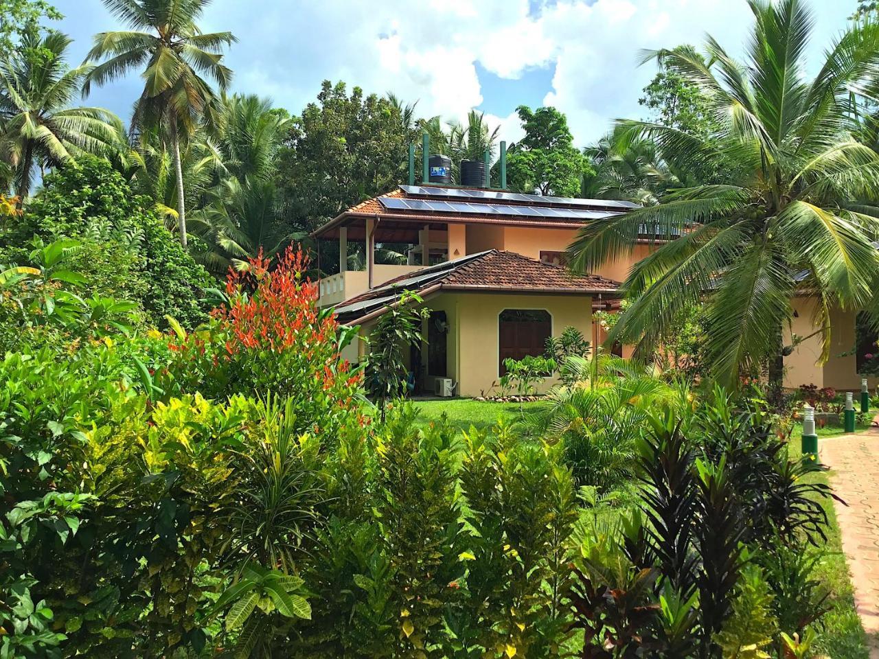 King Coconut Lodge Habaraduwa Central 외부 사진